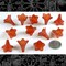 23mm x 21mm Dark Tomato Red Resin Flower Caps - Set of Twelve - FW1-23